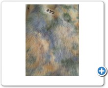 collection 10 Stampe fantasia 277